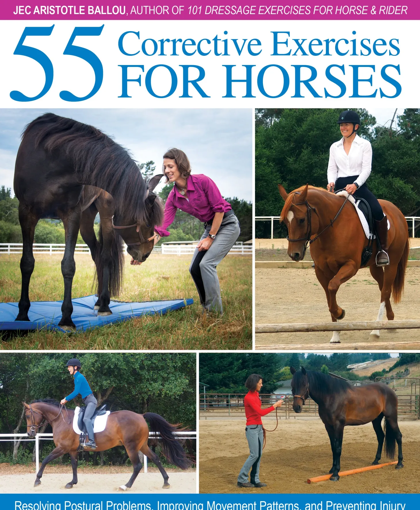 55 Corrective Exercises for Horses