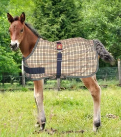 5/A Baker® Expand-O-Blanket Turnout for Foal & Pony