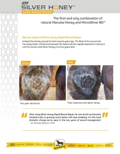 Absorbine® Silver Honey® Rapid Skin Relief Medicated Shampoo