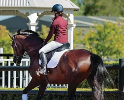 Arena Dressage Saddle