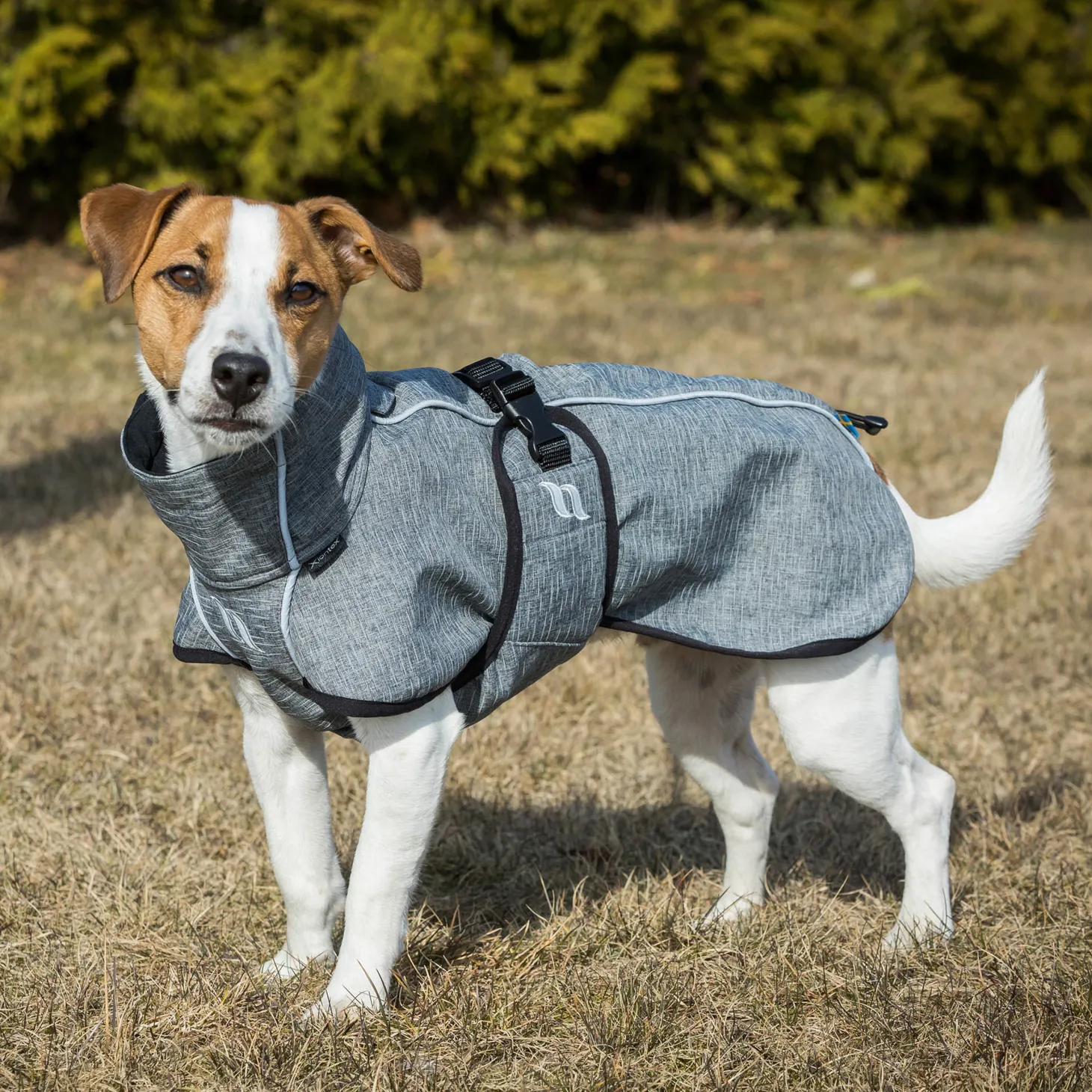 Back on Track® Bark Small Dog Coat