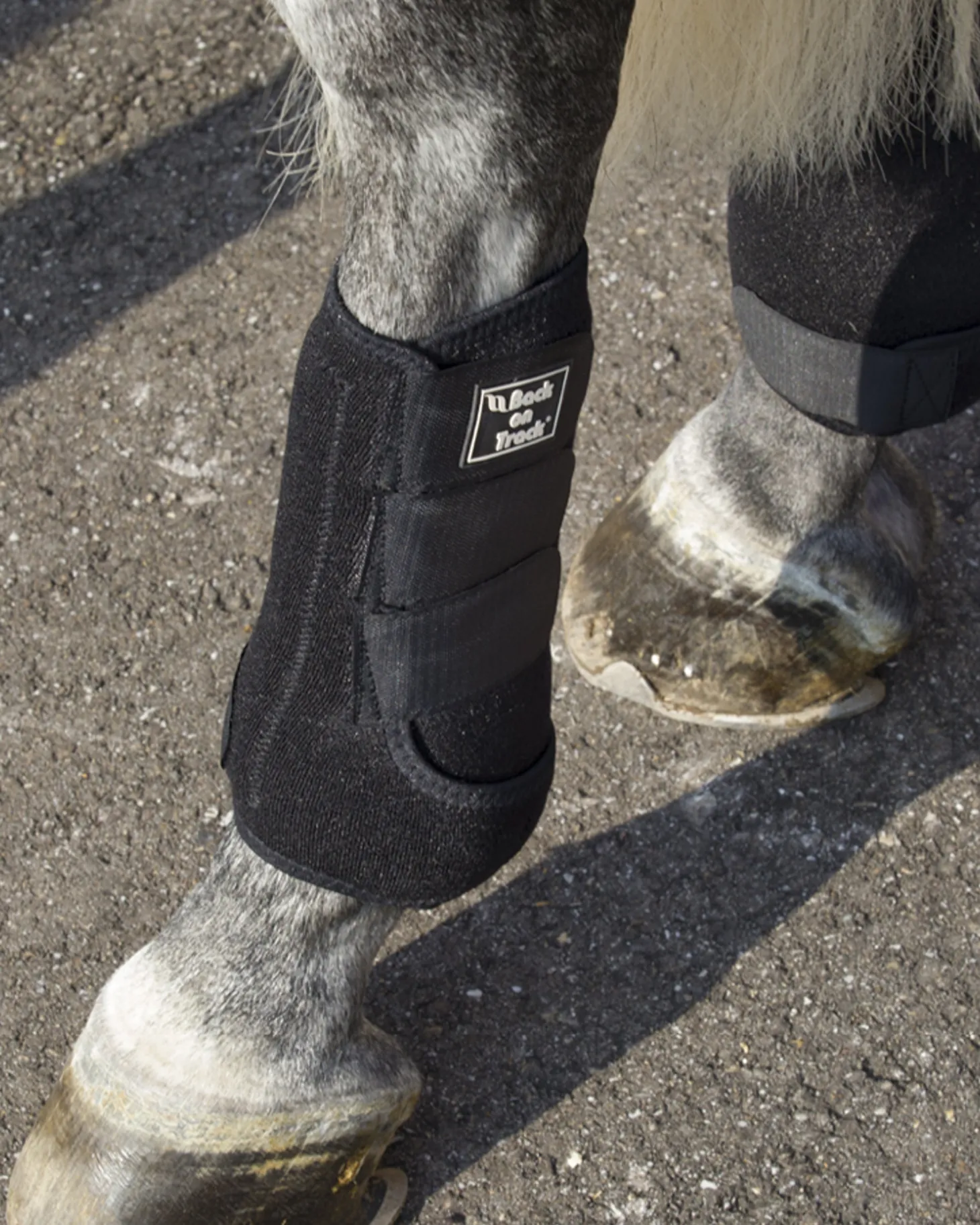 Back on Track® Supreme Exercise Boots with Shock-Absorbent Pad