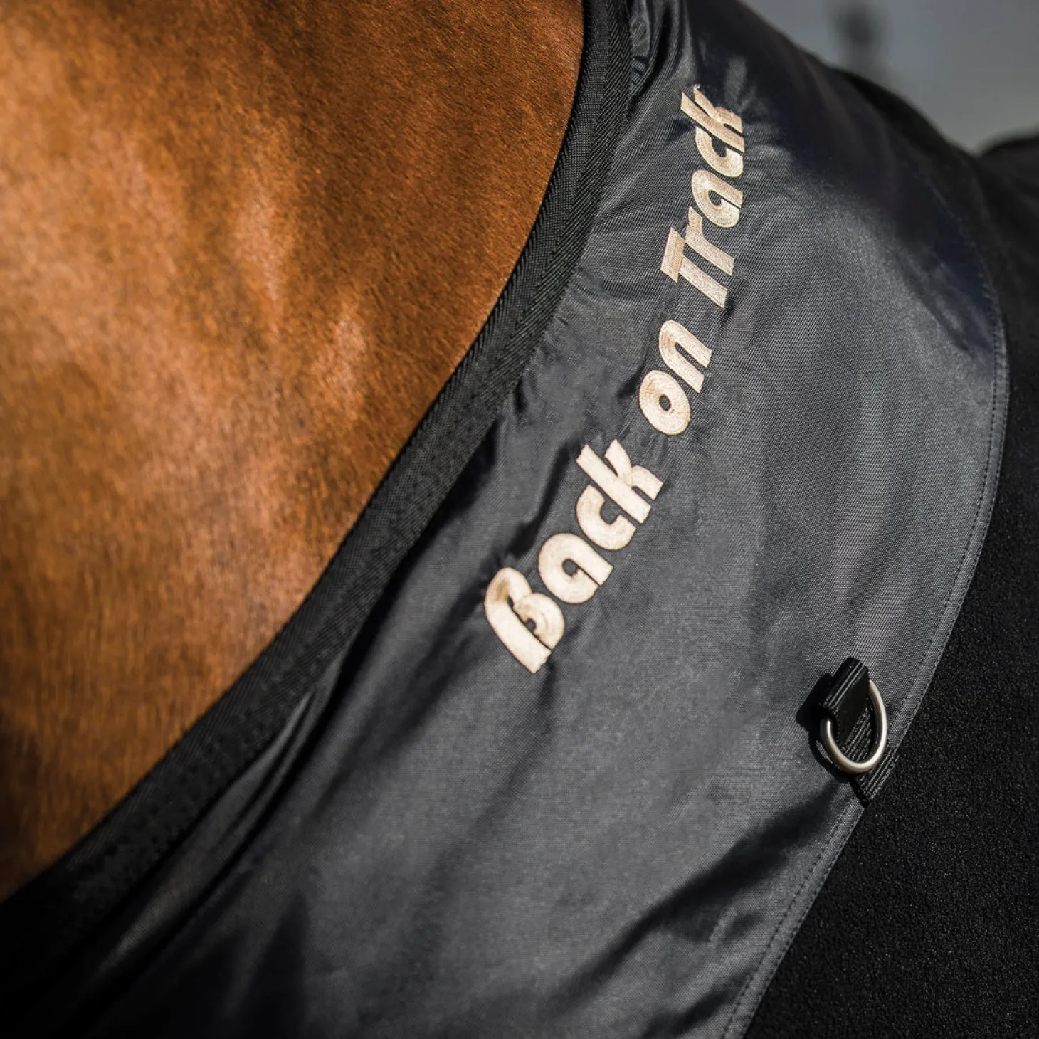 Back on Track® Supreme Fleece Blanket