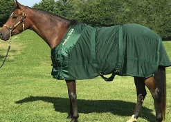 Back on Track® Therapeutic Mesh Horse Sheet