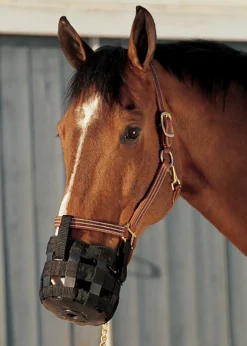 Best Friend® Grazing Muzzle