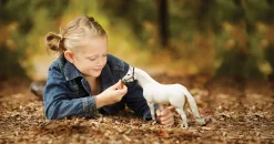 Breyer® Traditional® Snowman