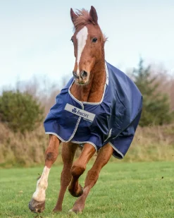 Bucas Atlantic 200 Gram Turnout Blanket