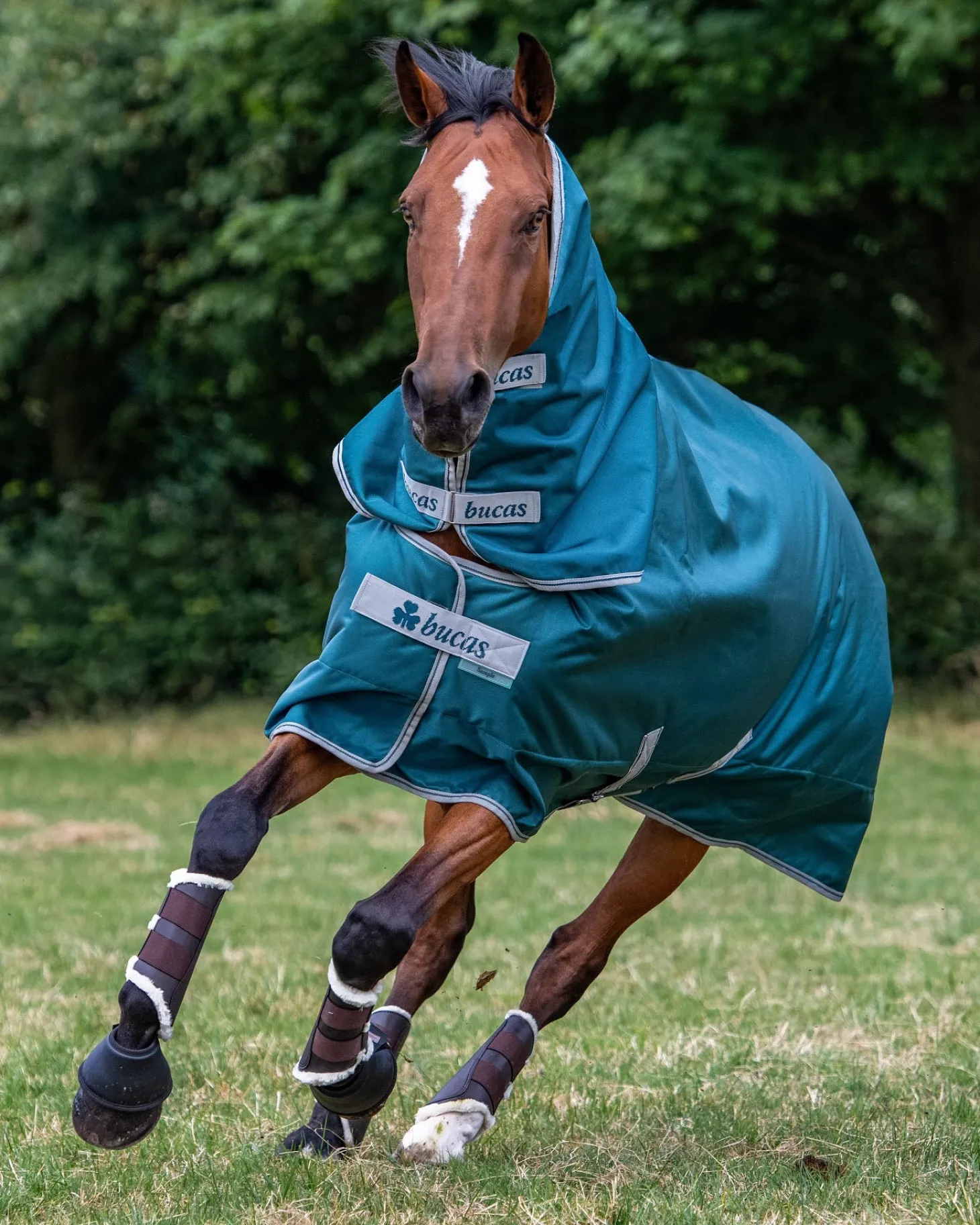 Bucas Atlantic Combi Neck Cover - 300 Grams