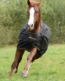 Bucas Irish Classic Lightweight Turnout Blanket