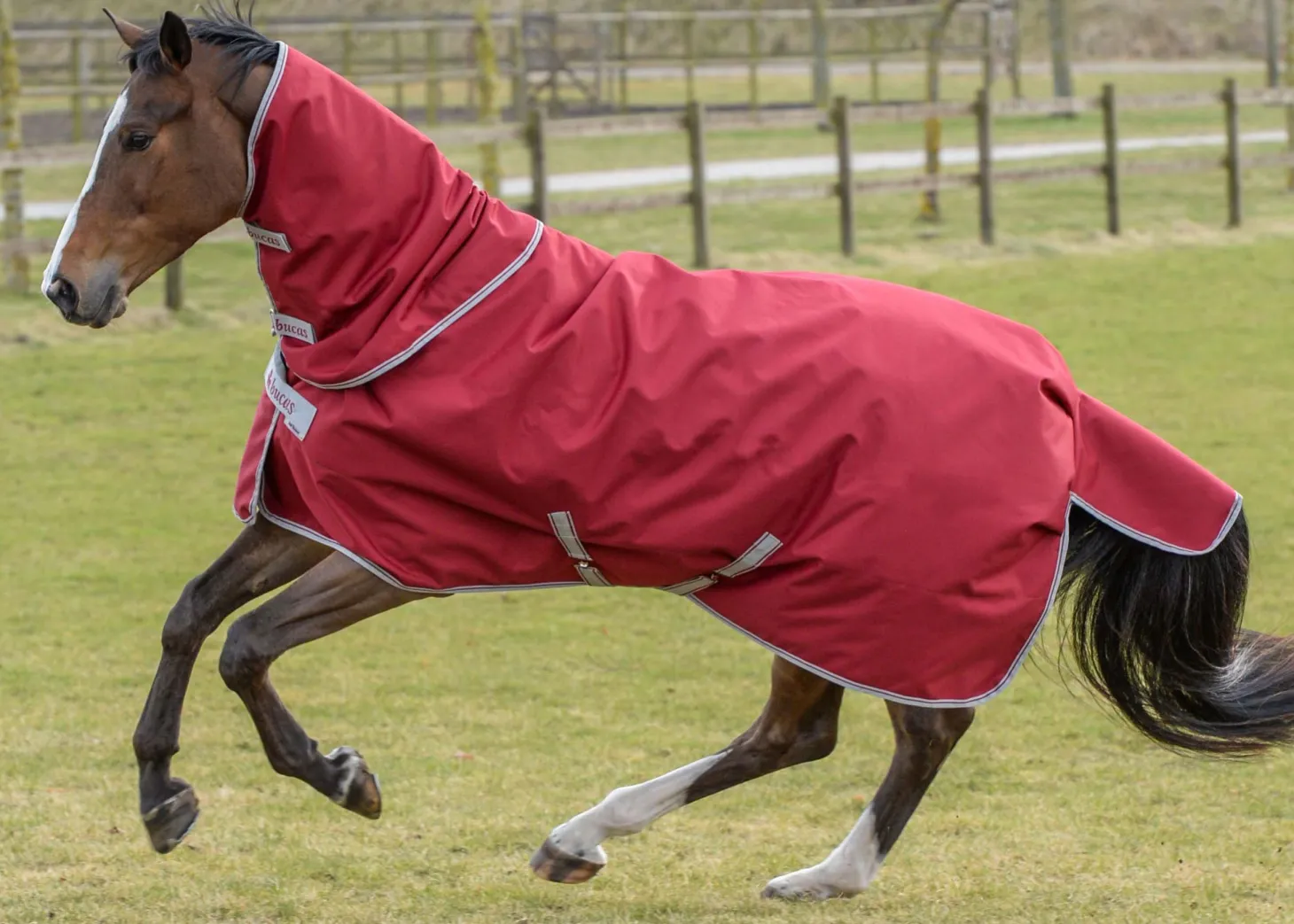 Bucas Irish Extra Classic Heavyweight Turnout Blanket