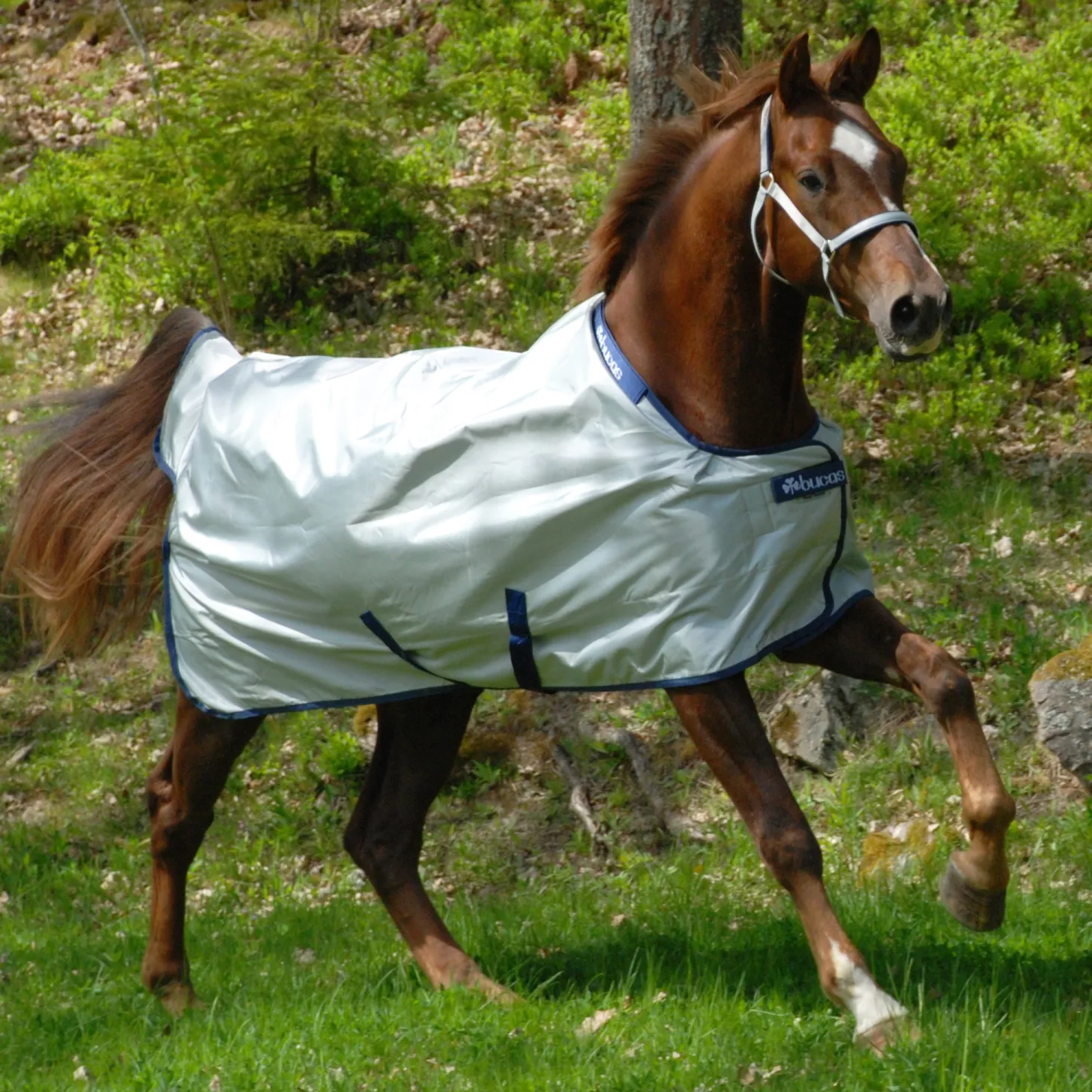 Bucas Power Classic Lightweight Turnout Blanket