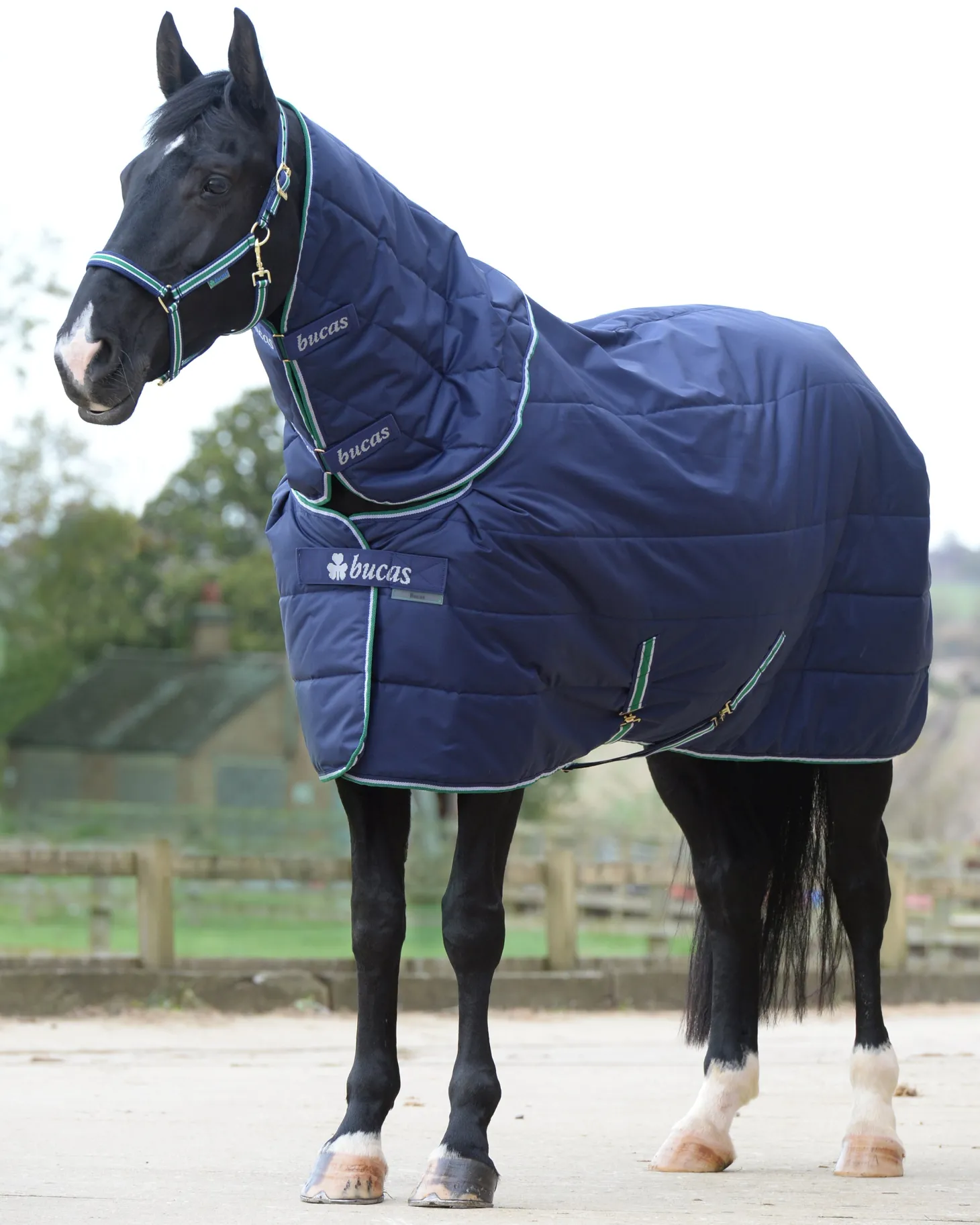 Bucas Quilt Stable Blanket Combi Neck Cover