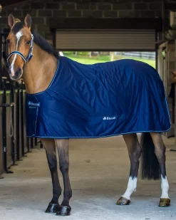 Bucas Shamrock Power Cooler