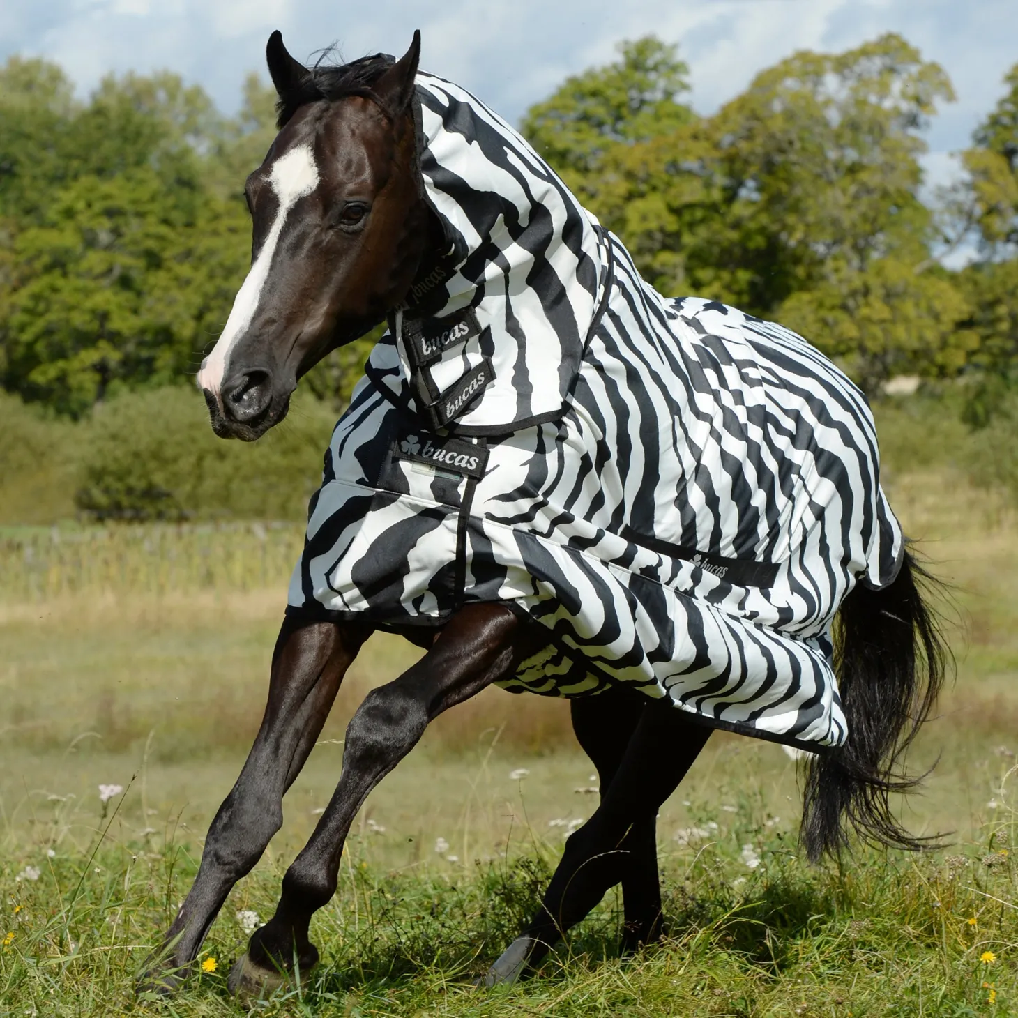 Bucas Zebra Sweet Itch with Full Neck