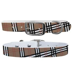 C4 Dog Collar