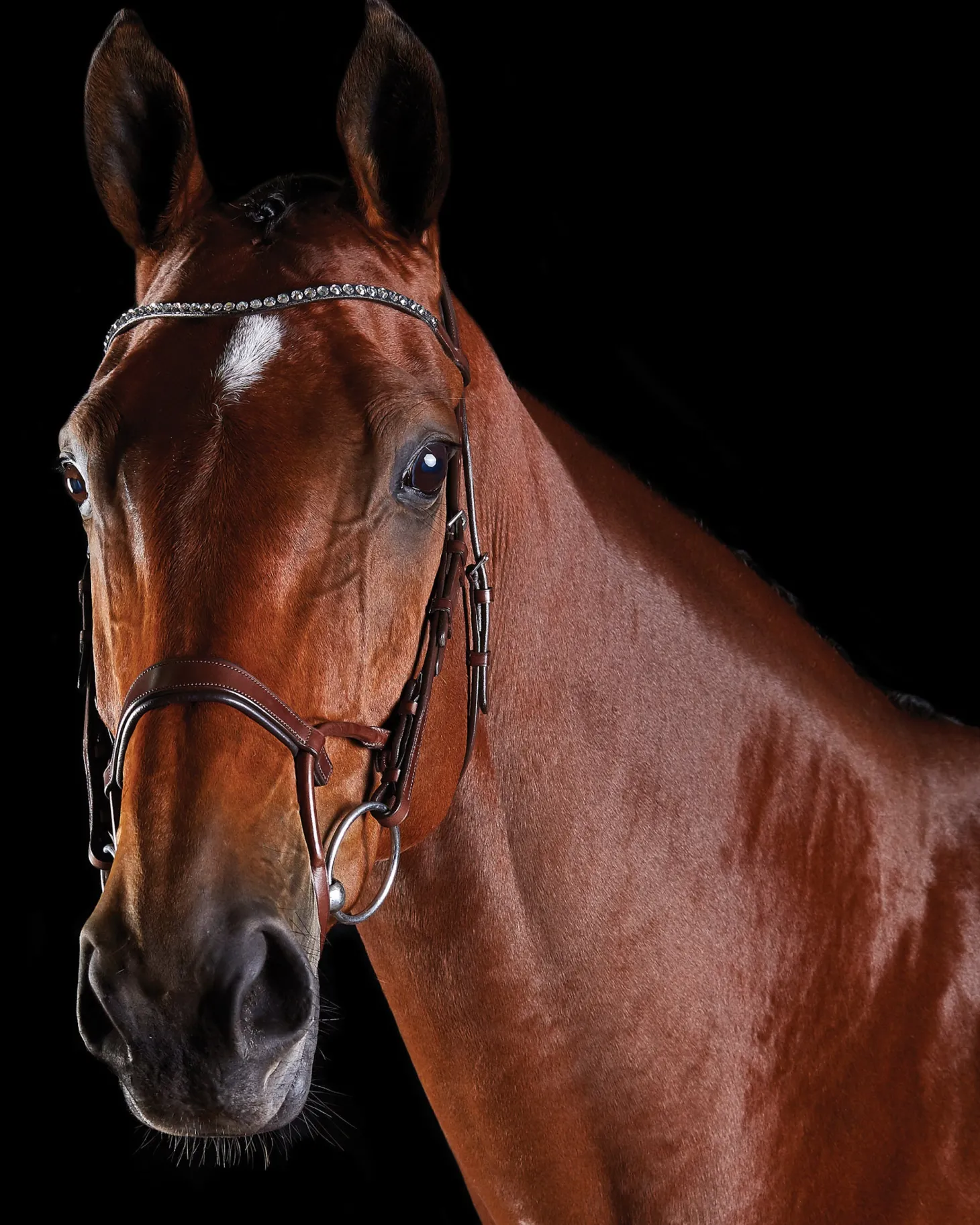 Collegiate® ComFiTec™ Crystal Bridle