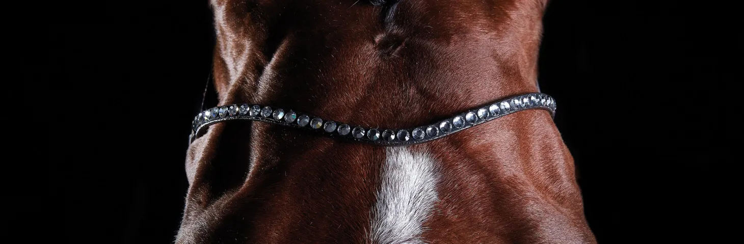Collegiate® ComFiTec™ Crystal Bridle