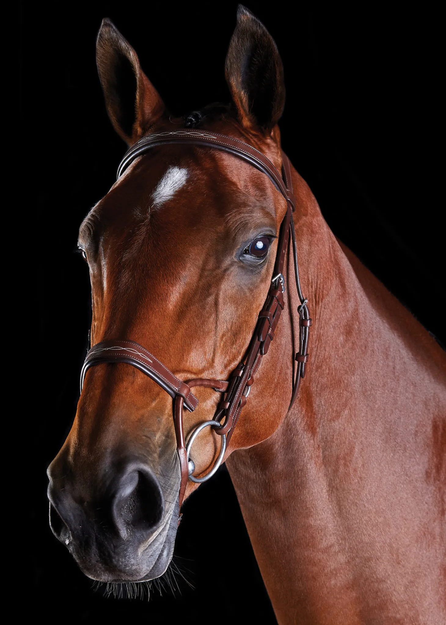 Collegiate® ComFiTec™ Fancy-Stitched Bridle