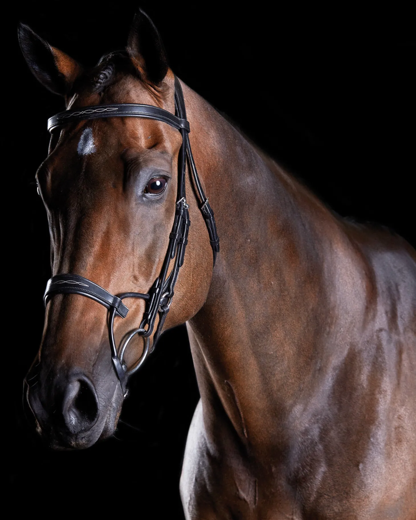 Collegiate® ComFiTec™ Fancy-Stitched Bridle