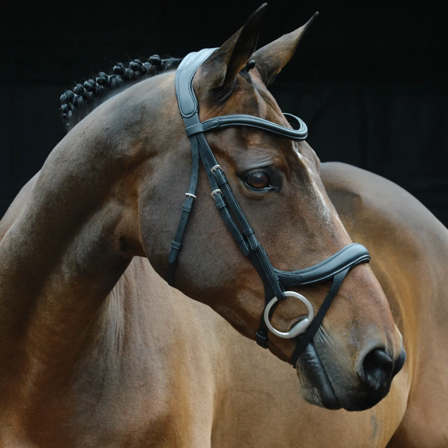 Collegiate® ComFiTec™ Vogue Anatomic Bridle