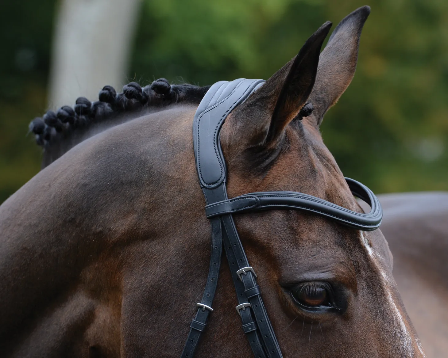 Collegiate® ComFiTec™ Vogue Anatomic Bridle