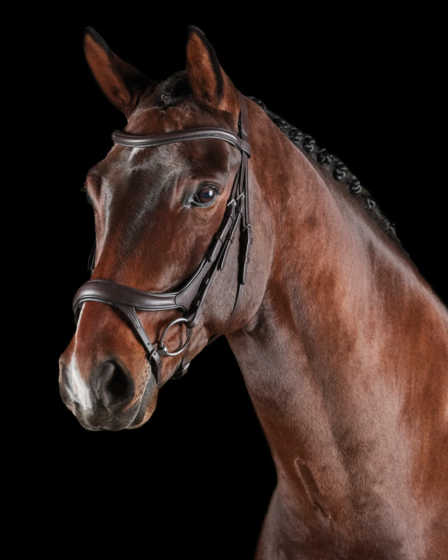 Collegiate® ComFiTec™ Vogue Anatomic Bridle