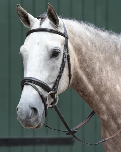 Collegiate® Essential Padded Raised Flash Bridle