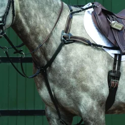 Collegiate® Essential 5-Point Breastplate