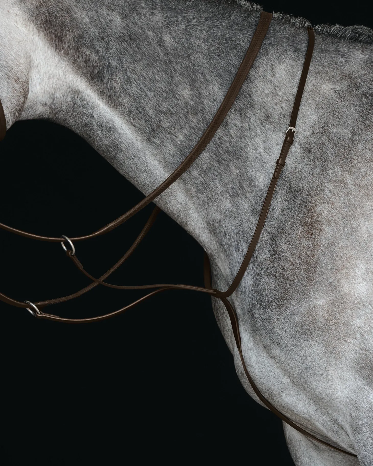 Collegiate® Running Martingale IV