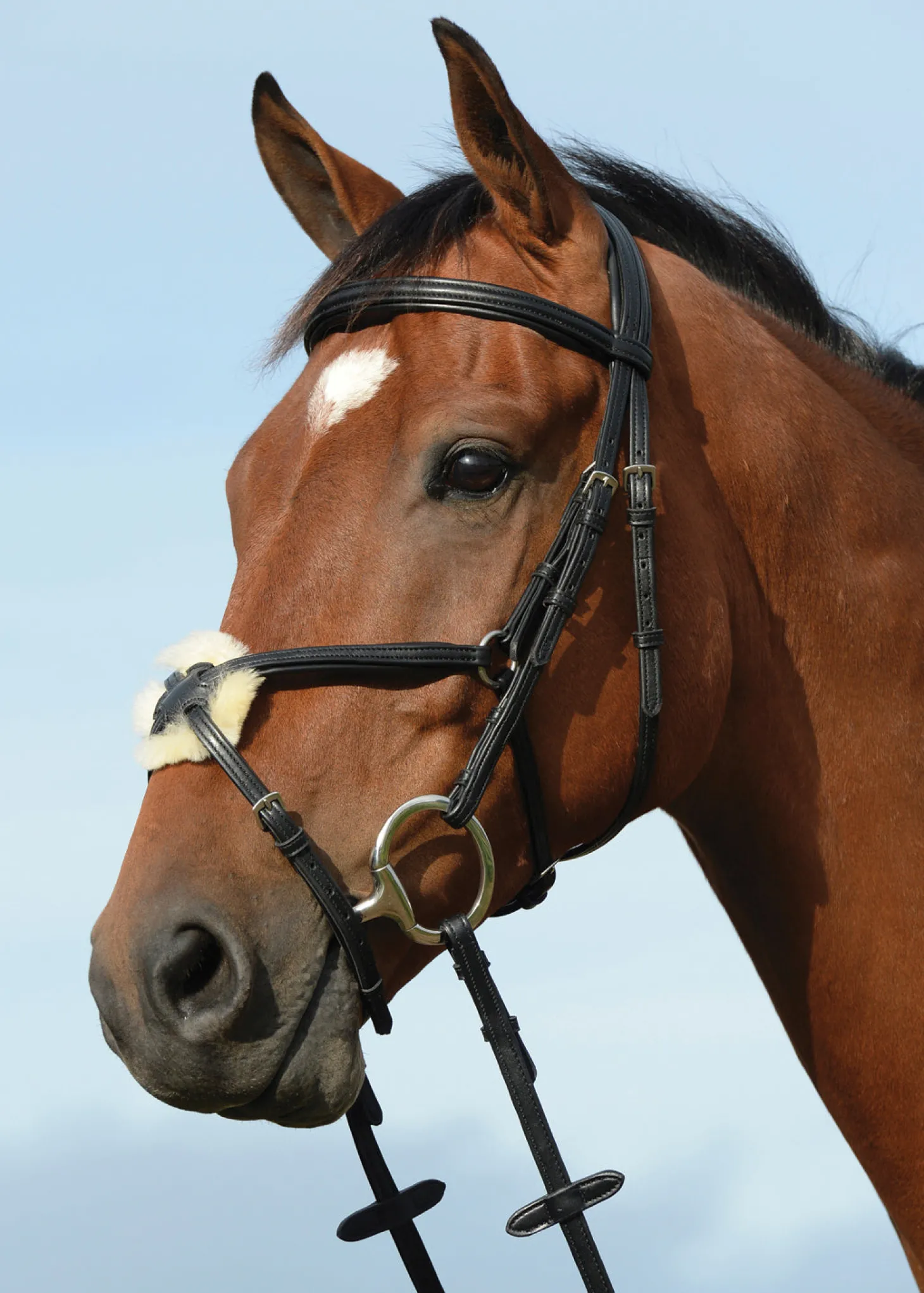 Collegiate® Syntovia+ Padded Raised Figure-8 Bridle