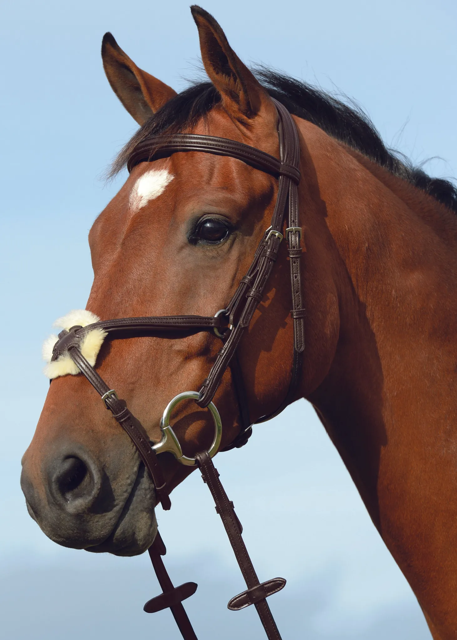 Collegiate® Syntovia+ Padded Raised Figure-8 Bridle