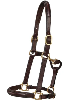 DS Classic Plain Raised Padded Halter