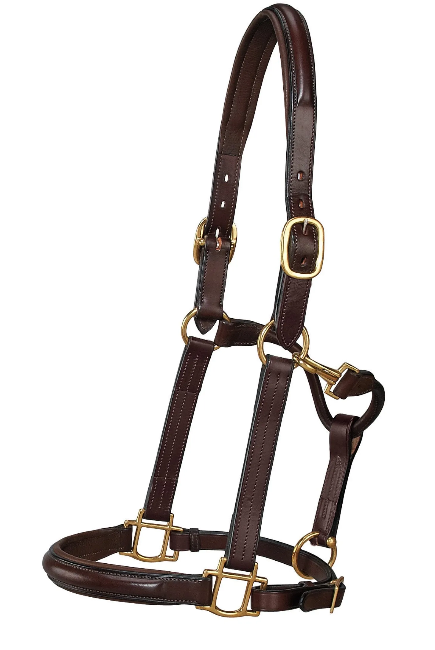 DS Classic Plain Raised Padded Halter