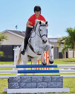 DS Ladies’ Iva Short Sleeve Polo Shirt