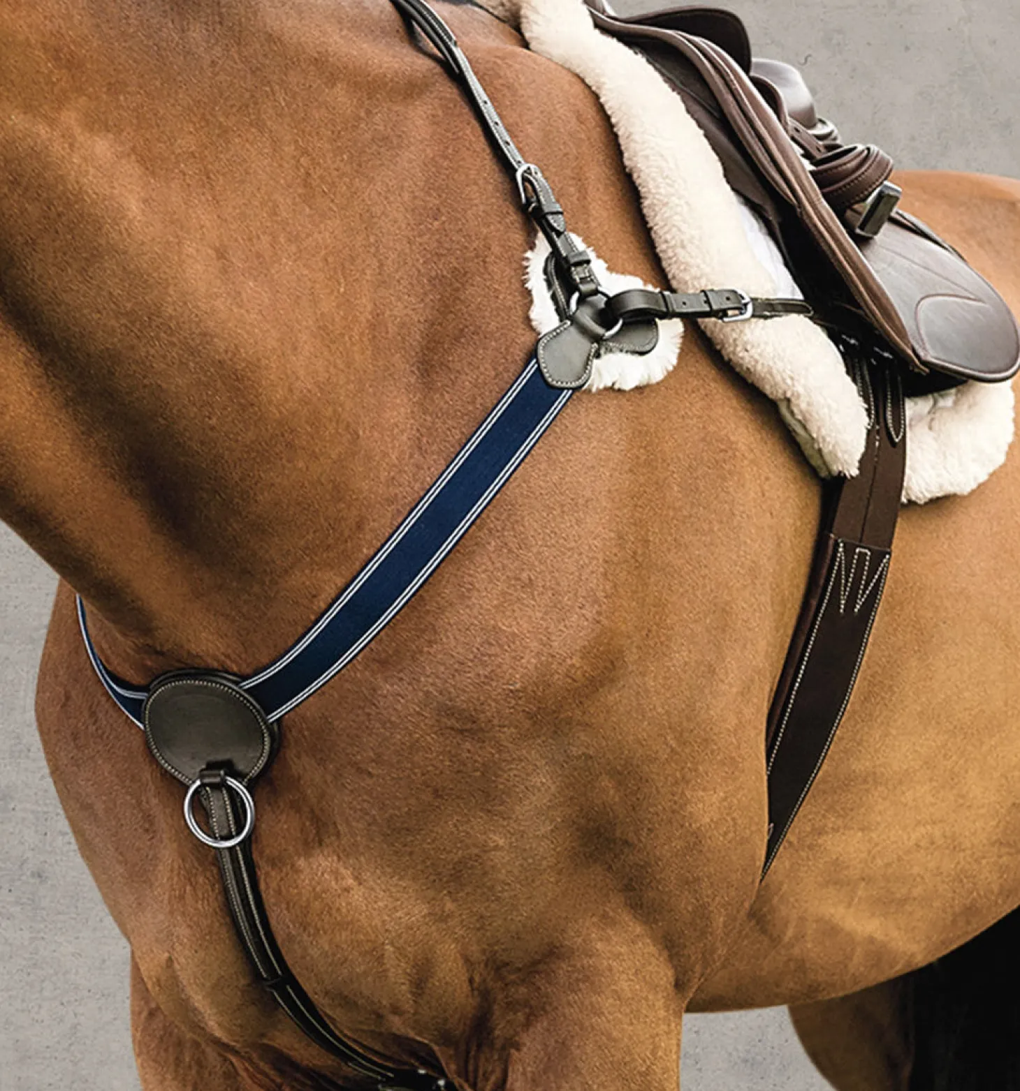 DS 3-Point Breastplate