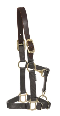 DS Heavy Nylon Breakaway Halter
