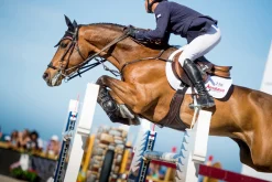 EquiFit® Anatomical BellyGuard Girth with T-Foam™ Liner