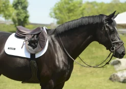 EquiFit® Anatomical BellyGuard Girth with SheepsWool™ T-Foam Liner