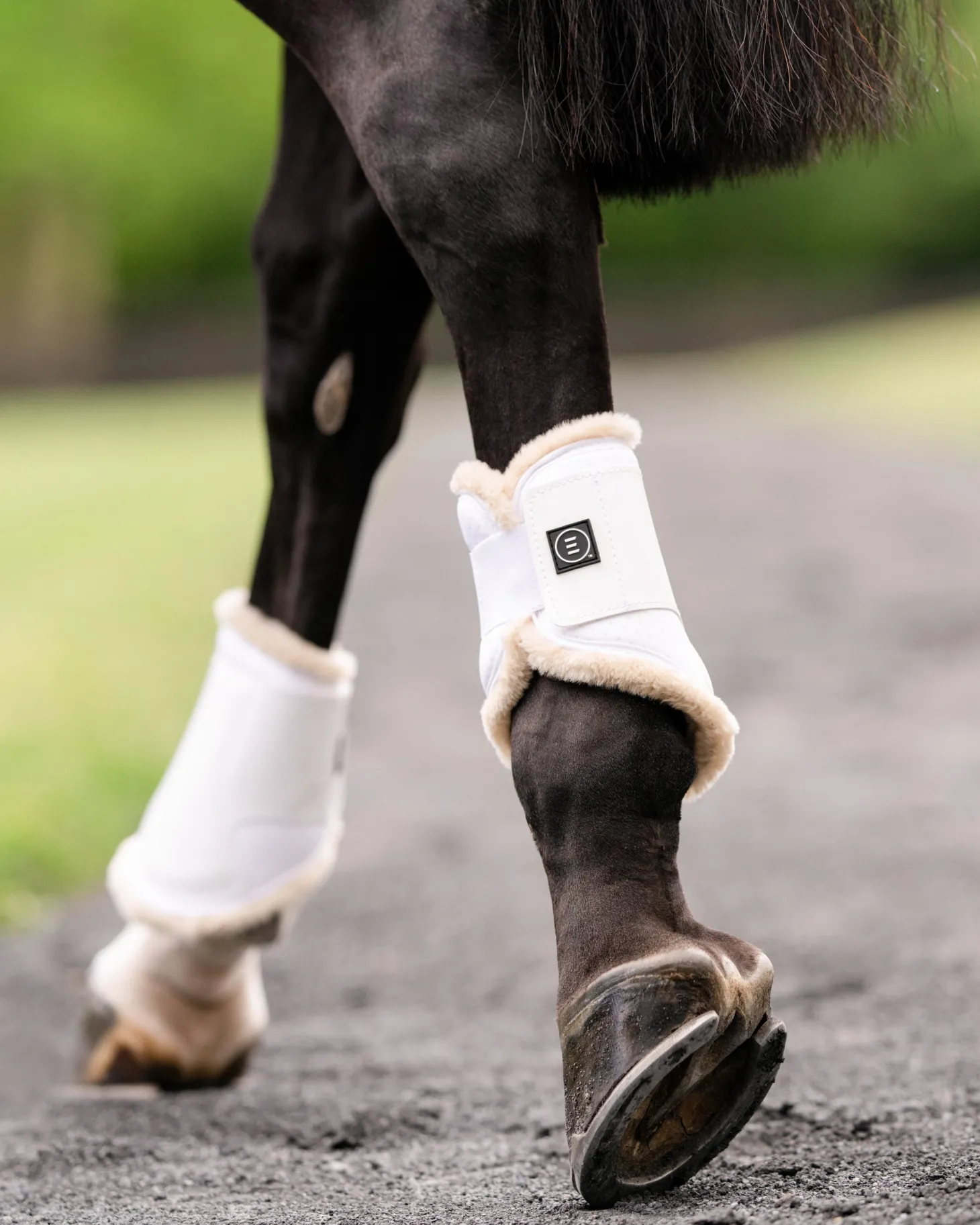 EquiFit® Essential EveryDay™ Hind Boots, Vegan SheepsWool™