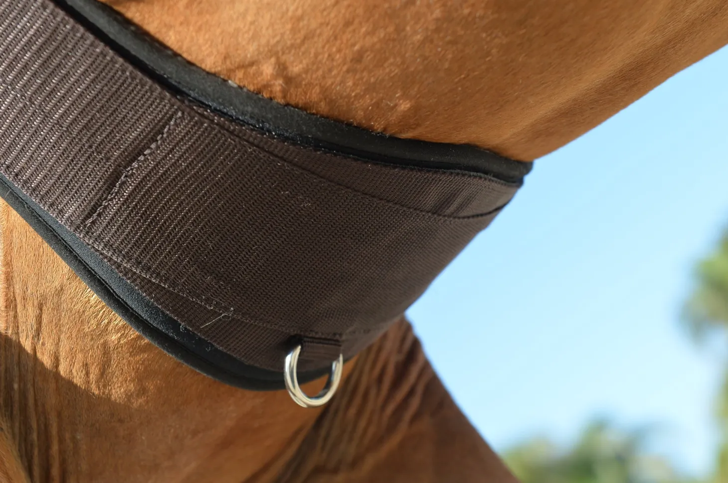 EquiFit® Essential Schooling Girth with SheepsWool™ Liner