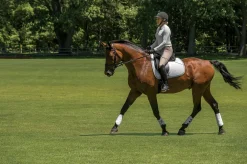 EquiFit® MultiTeq Front Boots