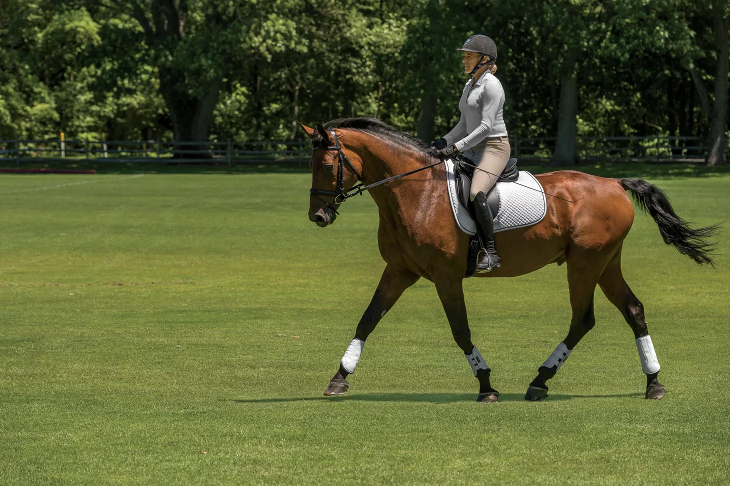 EquiFit® MultiTeq Front Boots