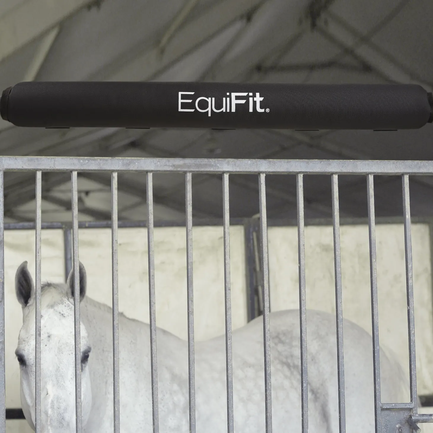 EquiFit® StallBumper