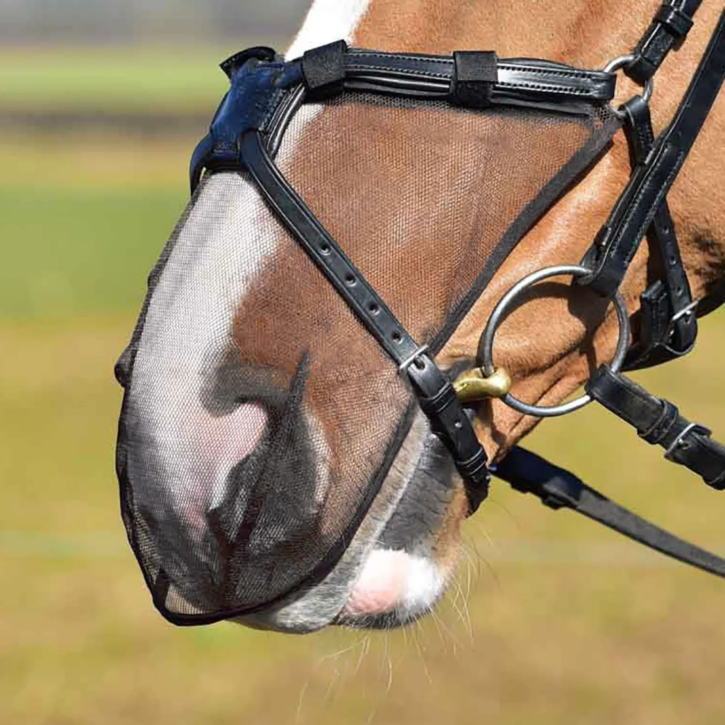 Equilibrium Net Relief Muzzle Net for Figure-8 Bridle