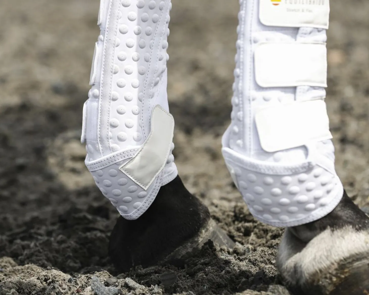 Equilibrium Stretch & Flex Training Wraps