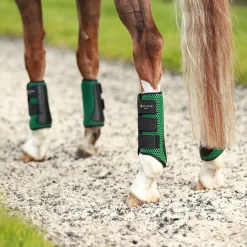 Equilibrium Tri-Zone Impact Hind Boots