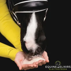 Equine Elixirs Electrofresh