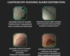 Equine Elixirs Slimer Liquid Gastric Support