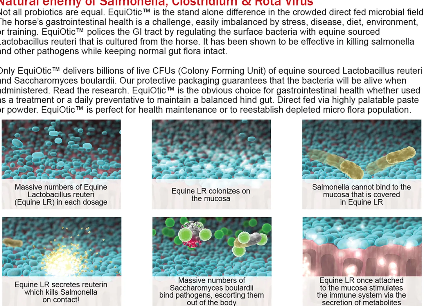 EquiOtic™ 60cc Syringe