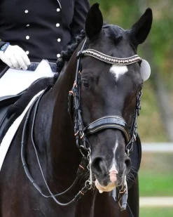 Halter Ego Aurelia Rose Gold Black Patent Double Bridle
